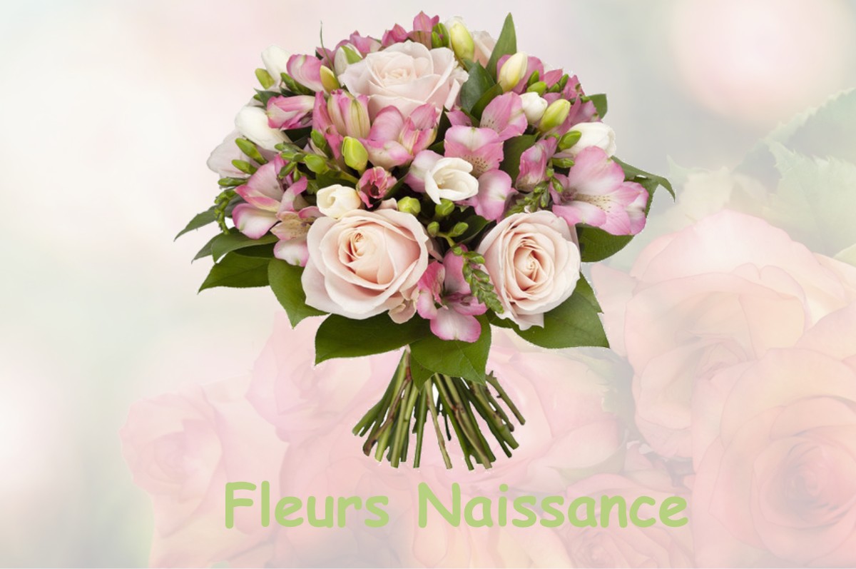 fleurs naissance BENDEJUN