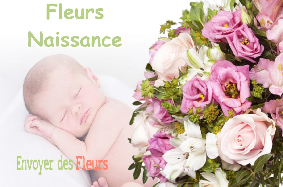 lIVRAISON FLEURS NAISSANCE à BENDEJUN